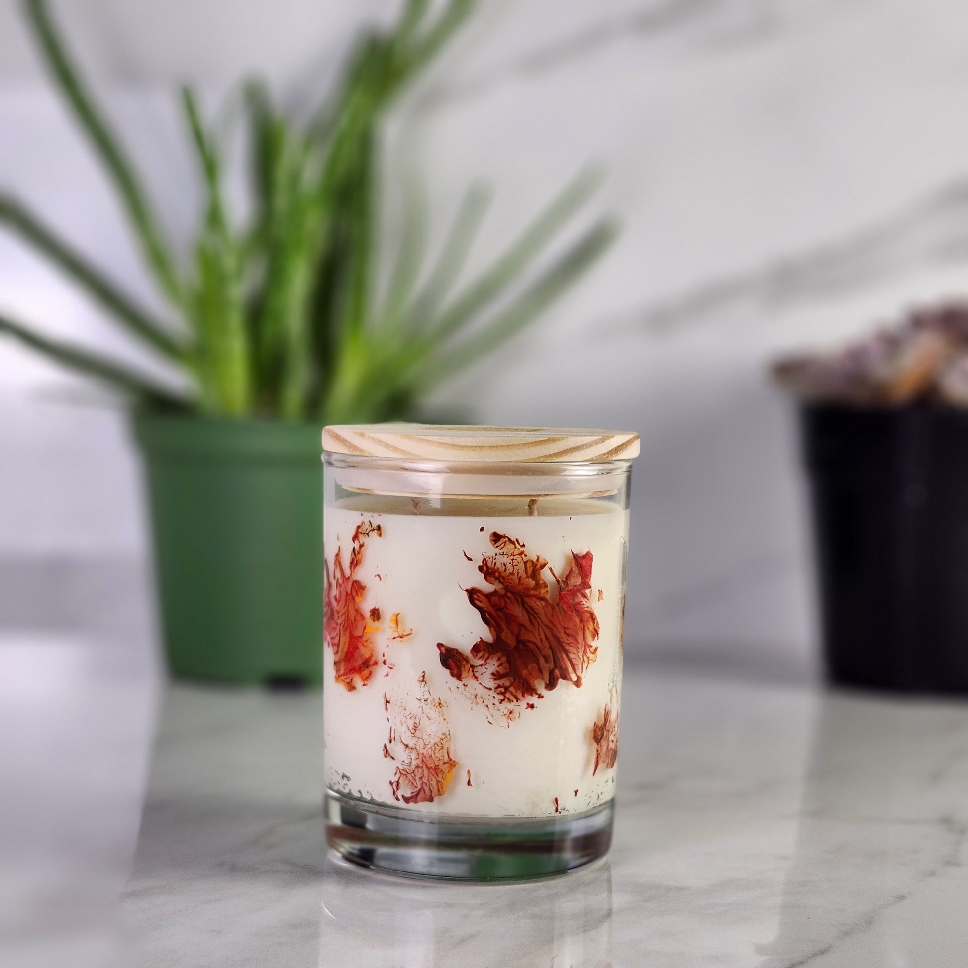 11oz Soy Wax Candle Collection