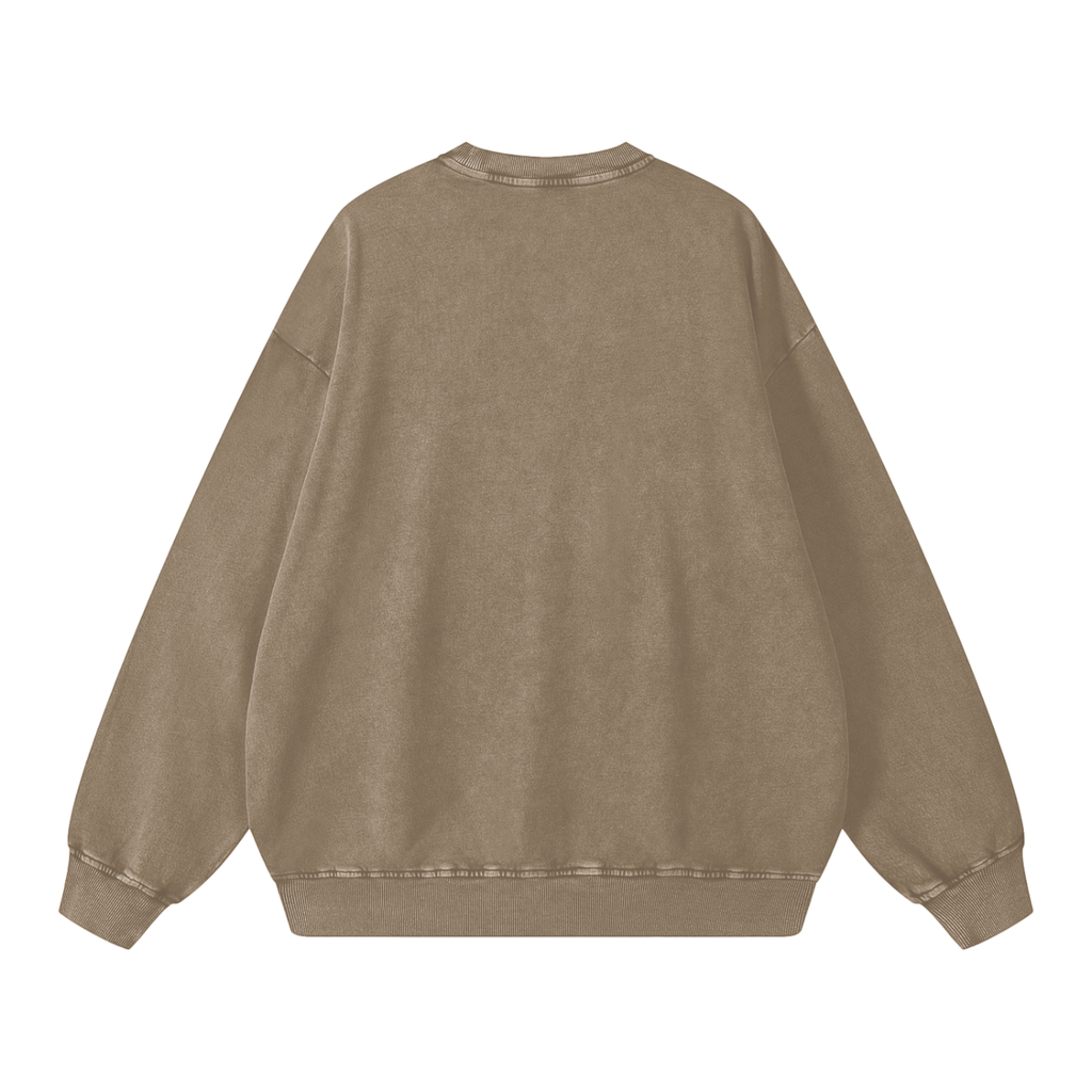 Snow Washed Oversized Sweatshirt